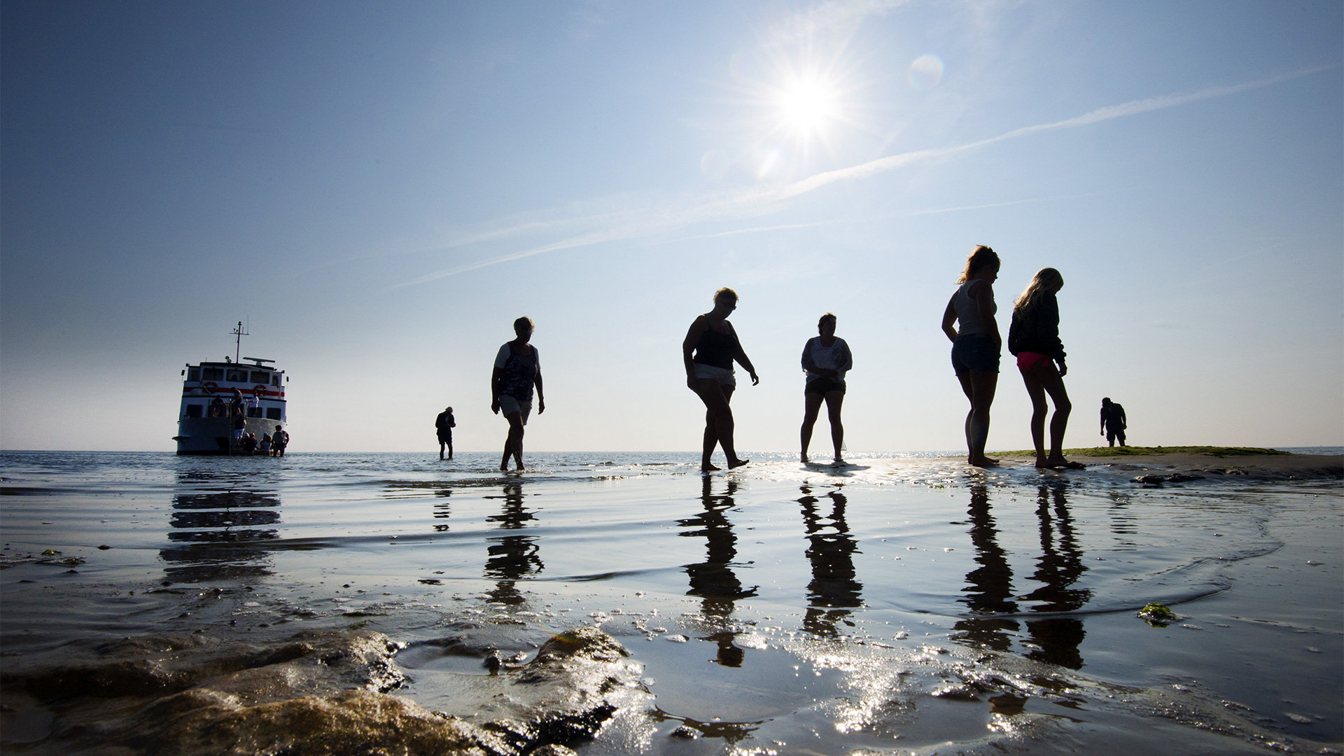 Wadlopers op ontdekkingstocht in Friesland
